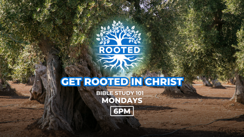 Get Rooted in Christ Course 28 Rooted Course - Get Rooted in Christ