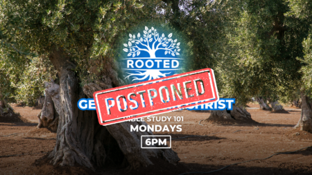Rooted Course - Get Rooted in Christ